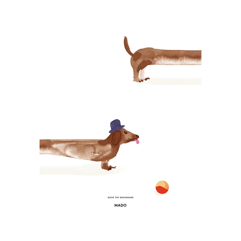 Doug the Dachshund Poster 50 x 70cm van Paper Collective – productfoto
