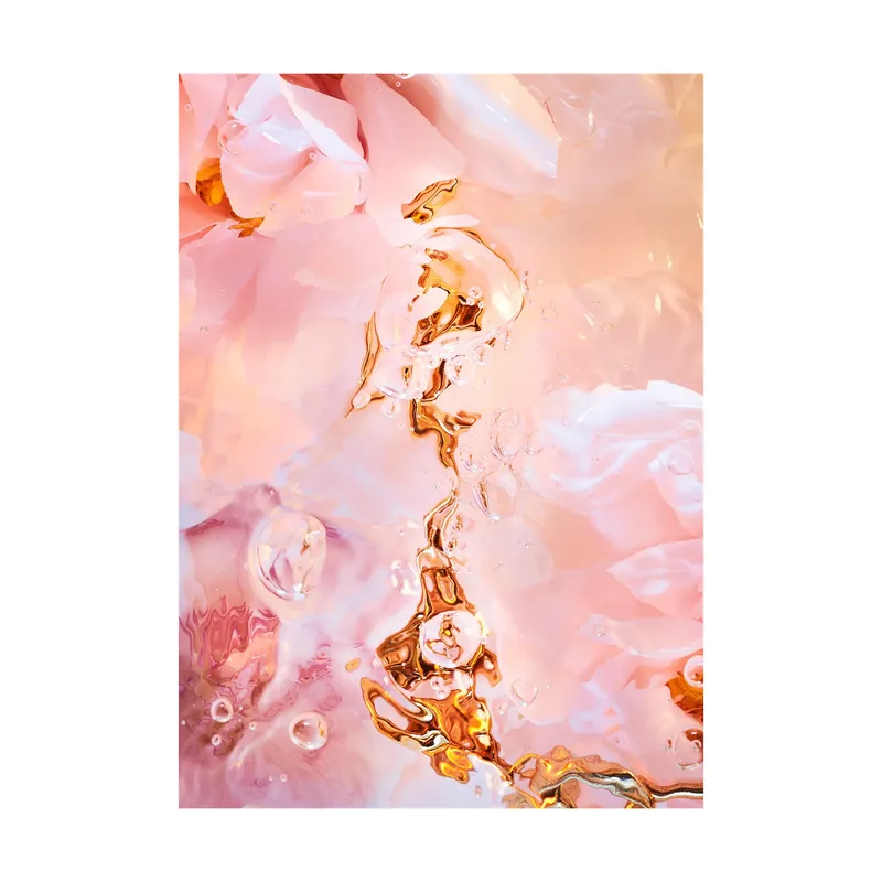 Flora Aquatica 02 Poster 70x100 cm von Paper Collective – Produktfoto