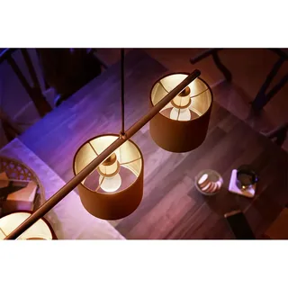 Außen-Wandleuchte Hue LED Lampe E14 2er Set 5,7W 470lm Luster by Philips Hue in White – product photo 3 of 4