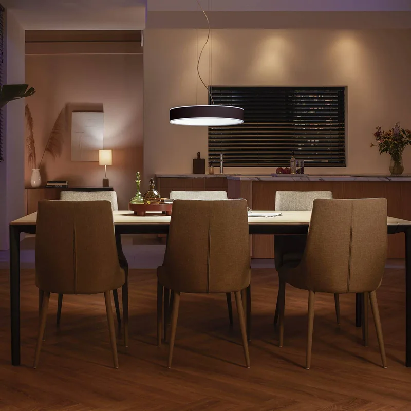 Enrave LED hanglamp by Philips Hue in Black – product photo 2 of 5