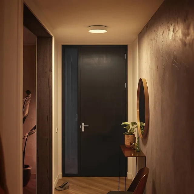 Enrave LED plafondlamp 26,1cm