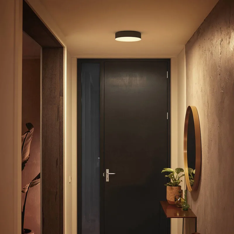Enrave LED plafondlamp 26,1cm by Philips Hue in Black – product photo 3 of 5