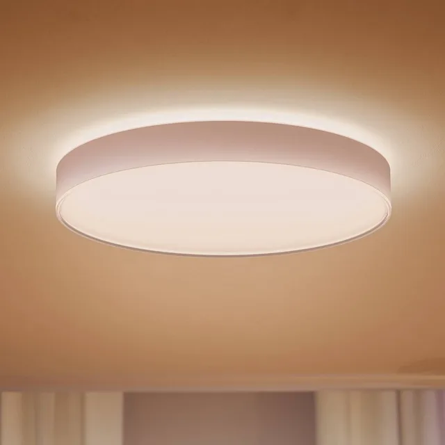 Enrave LED plafondlamp 55,1cm