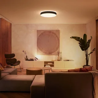 Enrave LED plafondlamp 55,1cm by Philips Hue in Black – product photo 2 of 5