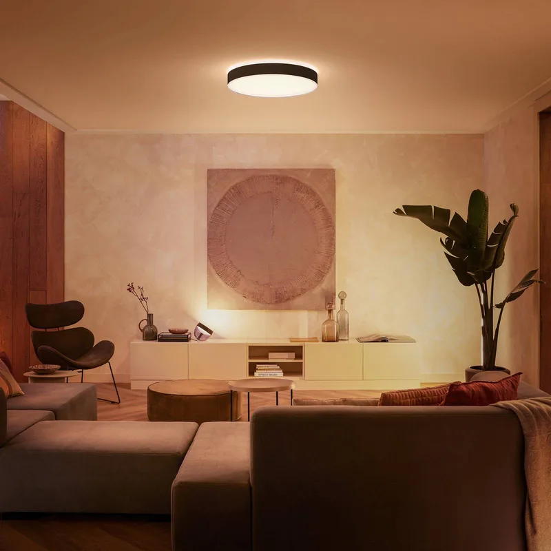 Enrave LED plafondlamp 55,1cm by Philips Hue in Black – product photo 2 of 5