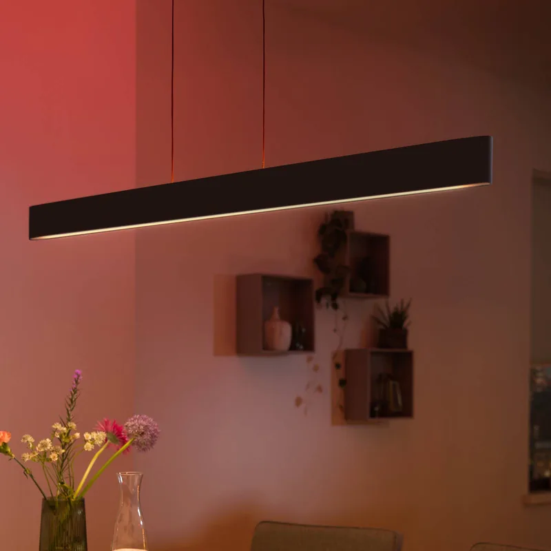 Ensis hanglamp, WACA von Philips Hue in Schwarz – Produktfoto 5 von 5