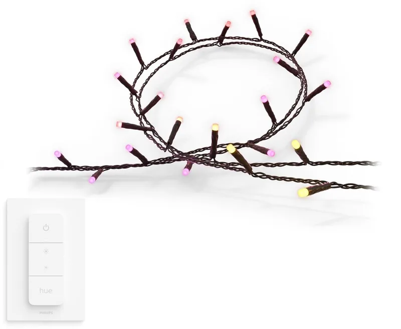 Festavia Lichtslinger 250 LEDS - 20 meter - Wit en Gekleurd Licht - Incl. Hue Dimmer Switch - Hue White and Color Ambiance by Philips Hue – product photo