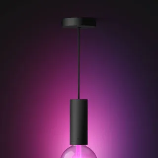 hanglamp, E27 fitting, 1-lamp by Philips Hue in Black – product photo 3 of 4