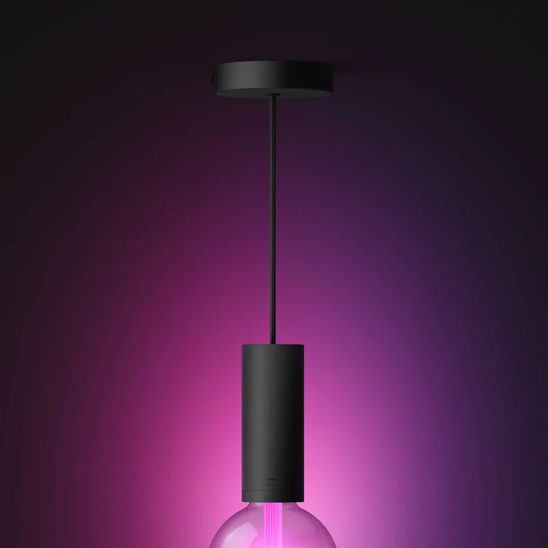 hanglamp, E27 fitting, 1-lamp by Philips Hue in Black – product photo 3 of 4