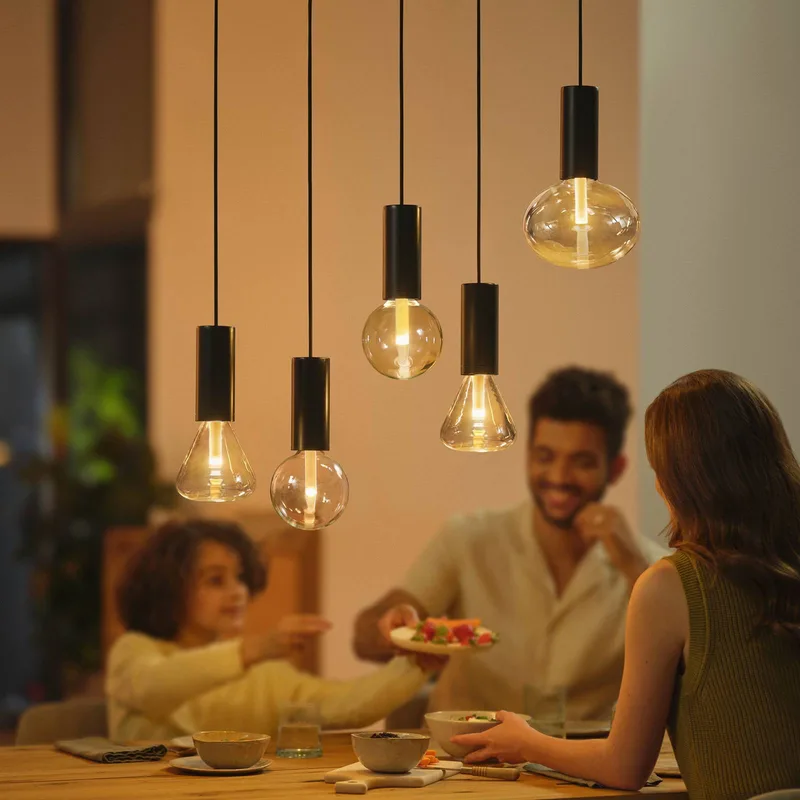 hanglamp, E27 fitting, 1-lamp by Philips Hue in Black – product photo 4 of 4