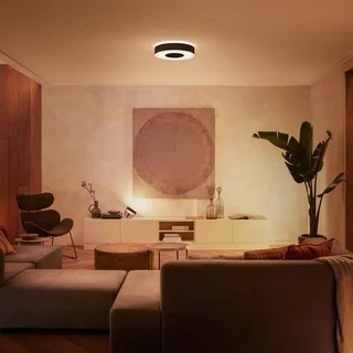Infuse LED plafondlamp, 38,1 cm, dimbaar. de Philips Hue en Noir – photo du produit 3 sur 5