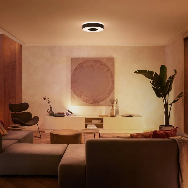 Infuse LED plafondlamp, 38,1 cm, dimbaar. de Philips Hue en Noir – photo du produit 3 sur 5