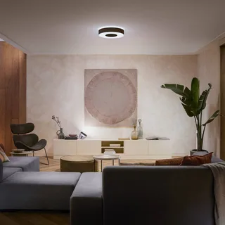 Infuse LED plafondlamp, 38,1 cm, dimbaar. de Philips Hue en Noir – photo du produit 2 sur 5