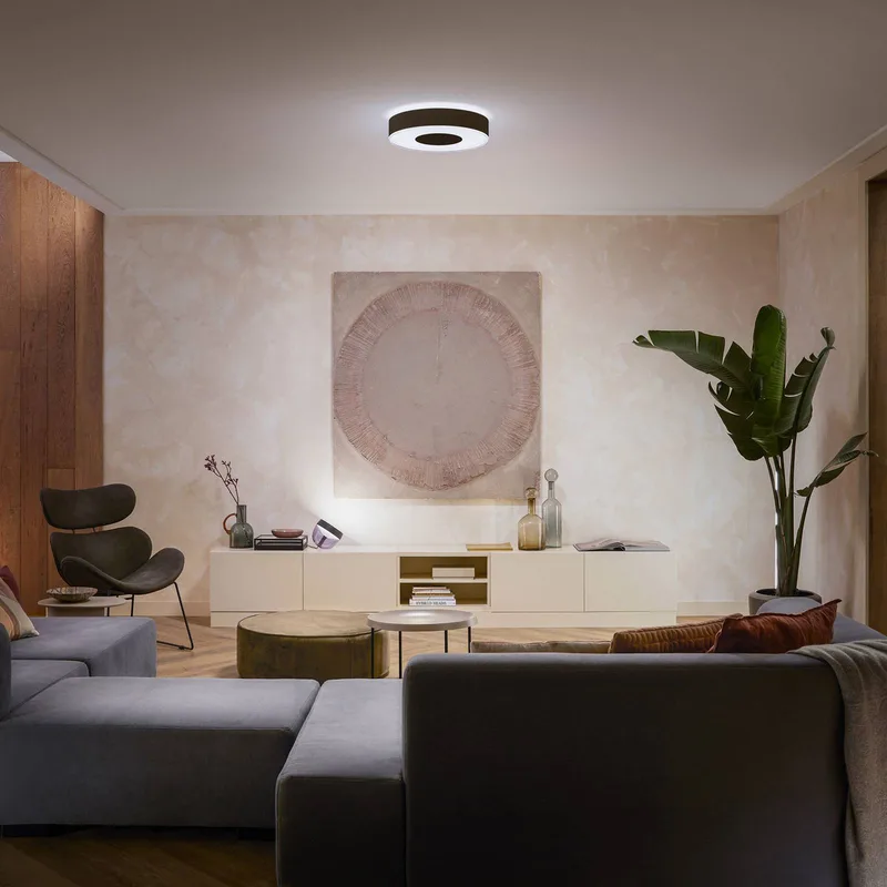 Infuse LED plafondlamp, 38,1 cm, dimbaar. de Philips Hue en Noir – photo du produit 2 sur 5