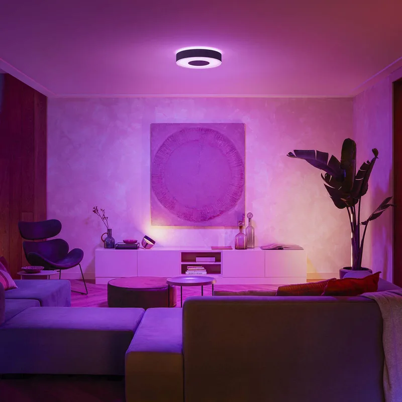 Infuse LED plafondlamp, 38,1 cm, dimbaar. de Philips Hue en Noir – photo du produit 4 sur 5