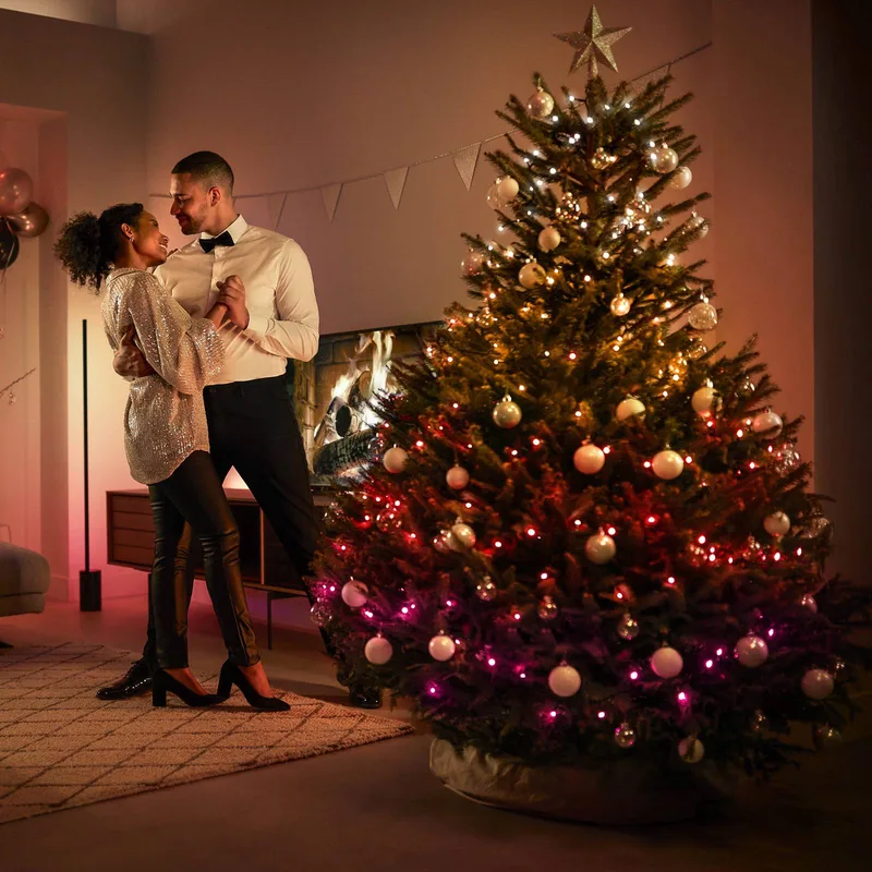 LED lichtketting, CCT RGB 40m by Philips Hue in Black, White – product photo 1 of 5