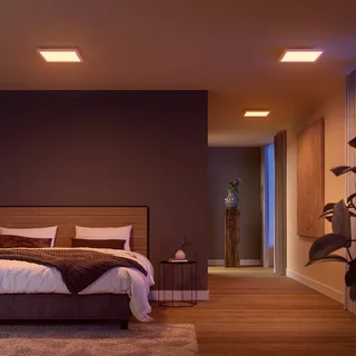 LED paneel White & Color Ambiance Surimu, 30x30cm by Philips Hue in White – product photo 1 of 3