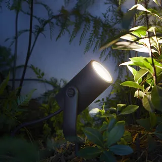 LED spot Lily, set van 3, bridge, RGB, CCT, IP65 by Philips Hue in Black – product photo 2 of 5