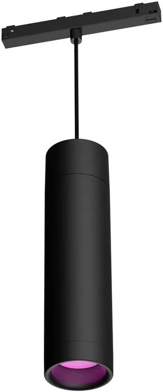 Schienensystem-Leuchten Perifo Schienensystem Erweiterungs-Pendel, Dimmfunktion, LED fest integriert, Farbwechsler, 510 lm, 2000-6500 K, Leuchtdauer 25.000 Stunden, Made in Europe de Philips Hue en Noir – photo du produit 2 sur 5