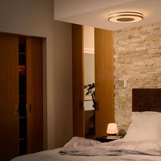 White Ambiance Being plafondlamp alu by Philips Hue in Aluminium, White – product photo 5 of 5