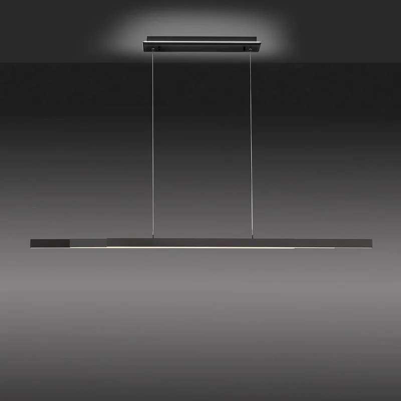 Paul Neuhaus Q-ARIAN LED hanglamp, antraciet van Q-Smart-Home in Antraciet, Wit – productfoto 4 van 5
