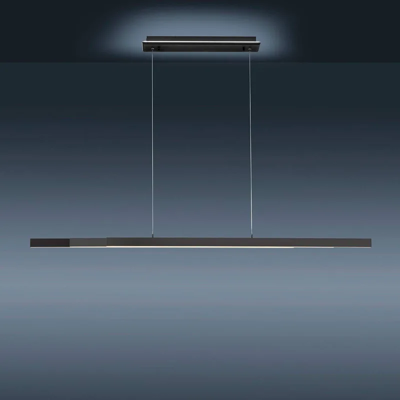 Paul Neuhaus Q-ARIAN LED hanglamp, antraciet van Q-Smart-Home in Antraciet, Wit – productfoto 5 van 5