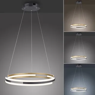 Paul Neuhaus Q-Beluga LED hanglamp, messing by Q-Smart-Home in Messing mat, Anthracite – product photo 4 of 4
