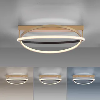 Paul Neuhaus Q-Beluga LED plafondlamp, messing von Q-Smart-Home in Mat messing – Produktfoto 5 von 5