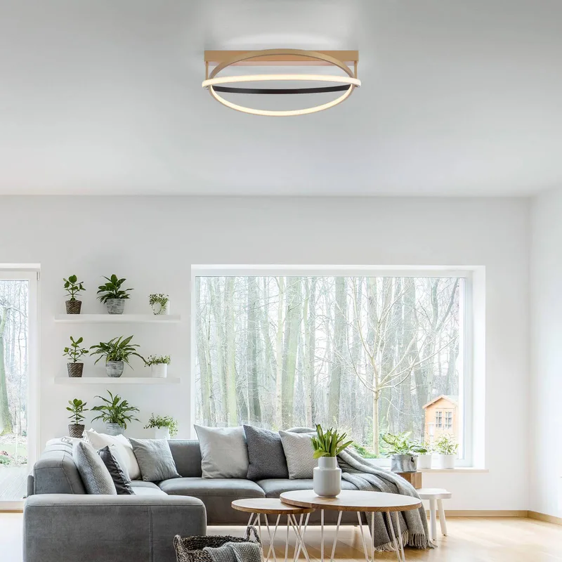 Paul Neuhaus Q-Beluga LED plafondlamp, messing von Q-Smart-Home in Mat messing – Produktfoto 2 von 5