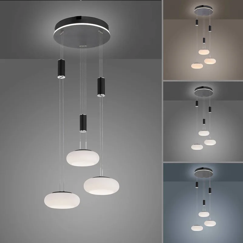 Paul Neuhaus Q-ETIENNE hanglamp rondel, zwart by Q-Smart-Home in Black, White – product photo 4 of 5