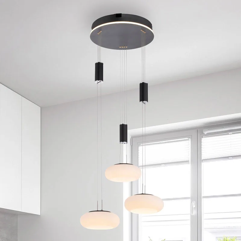 Paul Neuhaus Q-ETIENNE hanglamp rondel, zwart de Q-Smart-Home en Noir, Blanc – photo du produit