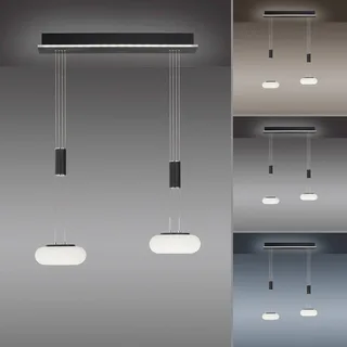 Paul Neuhaus Q-ETIENNE LED hanglamp 2-lamps, zwart by Q-Smart-Home in Black, White – product photo 5 of 5