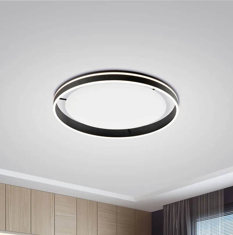 Paul Neuhaus Q-VITO LED plafondlamp 79cm antraciet by Q-Smart-Home in Anthracite, White – product photo