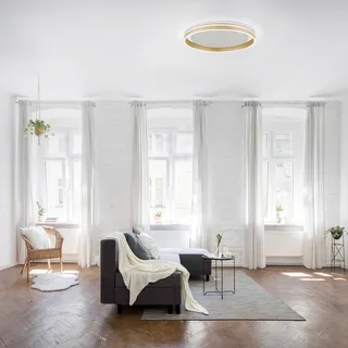 Paul Neuhaus Q-VITO LED-loftslampe, Ø 60 cm fra Q-Smart-Home i Mat messing, Hvid – produktbillede 3 af 5