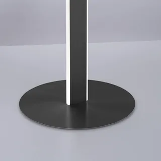Paul Neuhaus Q-VITO LED vloerlamp, antraciet by Q-Smart-Home in Anthracite, White – product photo 3 of 5