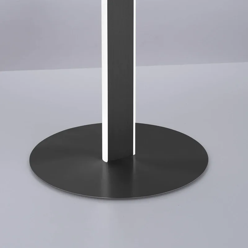 Paul Neuhaus Q-VITO LED vloerlamp, antraciet by Q-Smart-Home in Anthracite, White – product photo 3 of 5