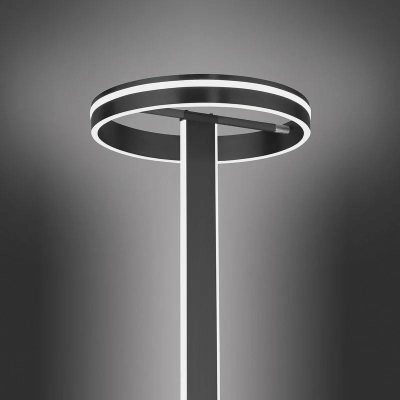 Paul Neuhaus Q-VITO LED vloerlamp, antraciet by Q-Smart-Home in Anthracite, White – product photo 4 of 5