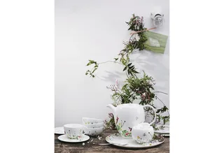 Geschirr-Set Geschirr-Set Kaffee Brillance Fleurs Sauvages (6-teilig) by Rosenthal – product photo 4 of 5