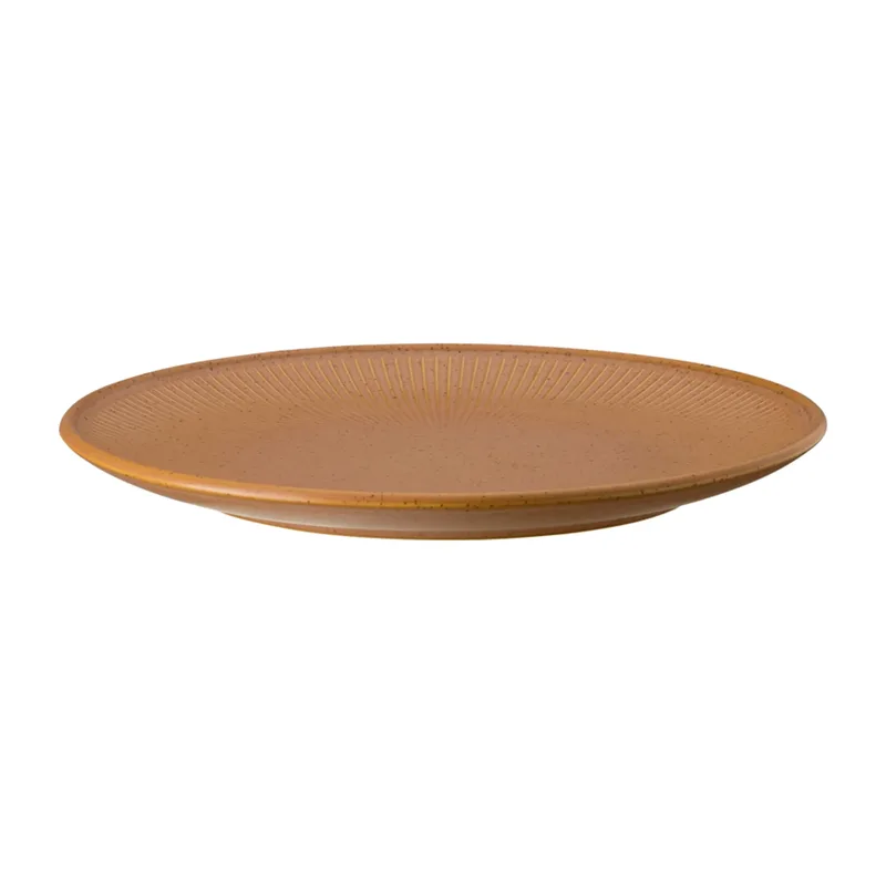 Thomas Clay Teller Ø22cm Orange van Rosenthal – productfoto