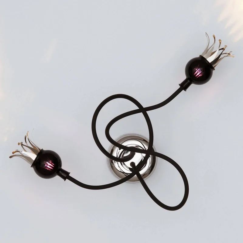 Poppy Wandlampe mit Spezialeffekt von Serien Lighting in Schwarz, Zwart-paars – Produktfoto