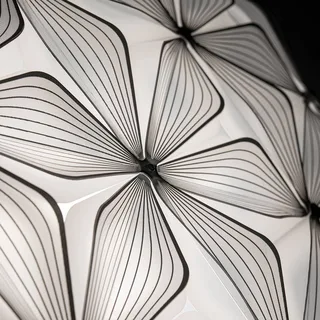Plafondlamp C'EST LA VIE, zwart, Ø 47 cm, 2-lamps, E27 van Slamp in Zwart, Wit – productfoto 5 van 5