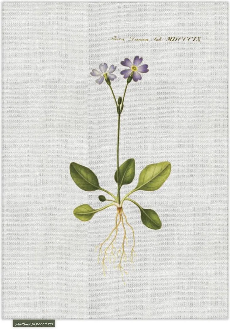 Theedoek - Violetje - Groen - 50 x 70 cm - Sodahl by Södahl in Grijs – product photo