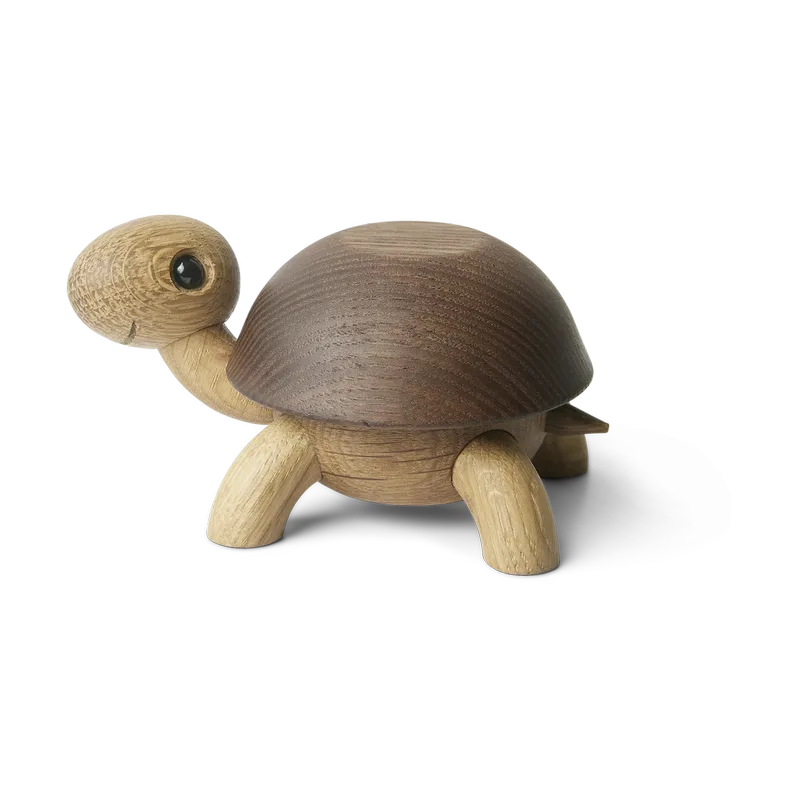 Speedy Schildkröte Dekoration 4 cm Eichenbox von Spring Copenhagen – Produktfoto