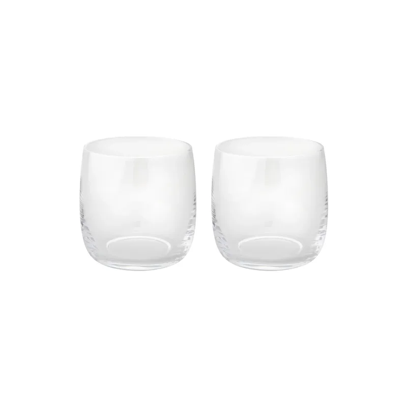 Foster Wasserglas 2er Pack 20cl van Stelton – productfoto