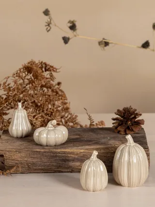 Dekoobjekt Kürbis Tranhult Herbstdeko Keramik Weiß, Halloween deko by Storefactory in Beige – product photo 2 of 2