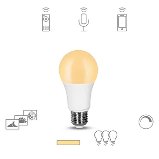 dimming LED lamp E27, 9W 2.700K de tint – photo du produit 1 sur 2