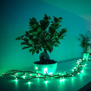 RGB lichtkettingen, 250 lampjes 20m van Twinkly in Zwart – productfoto 1 van 5