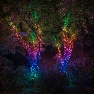 RGB lichtkettingen, 250 lampjes 20m van Twinkly in Zwart – productfoto 2 van 5