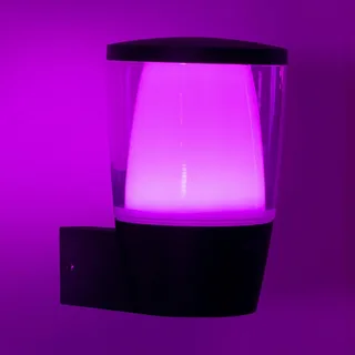 LED buitenwandlamp Elpas RGBW by WiZ in Black – product photo 1 of 5