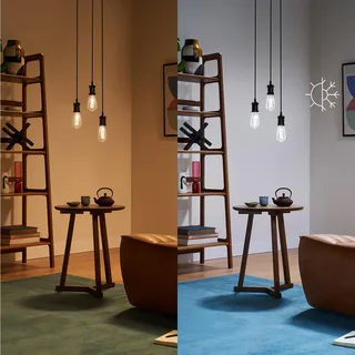 ST64 LED filament lamp WiFi E27 6,3W RGBW by WiZ – product photo 4 of 5